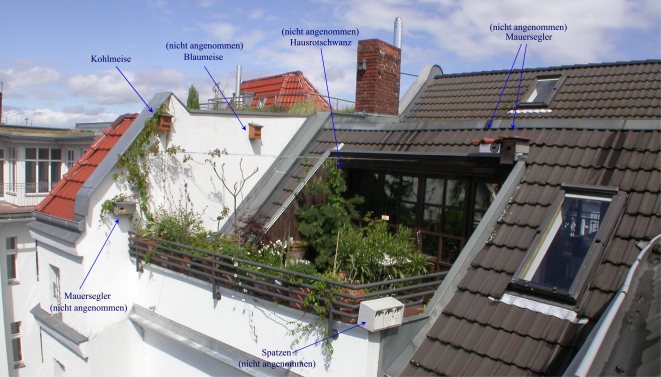 Dachterrasse mit Nistkästen