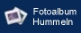 Start der Diaschau:  1 Hummeln